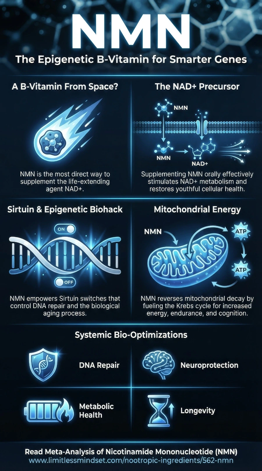 Feel free to download this infographic and share it around NMN infographic
